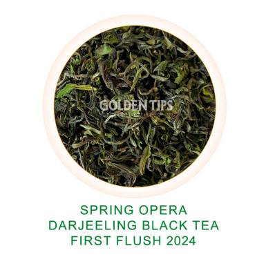 Чай Дарджилинг - Весенняя Опера (плантация Рингтон), урожай весна 2024 года, 100 гр.