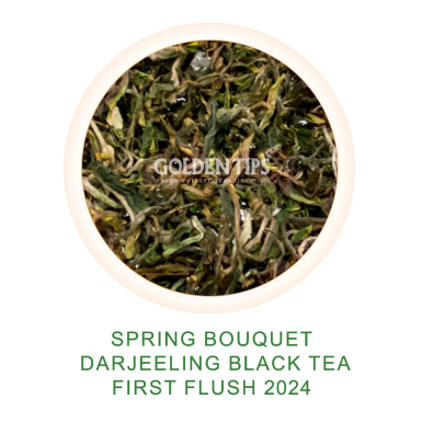Чай Дарджилинг - Весенний Букет (плантация Арья), урожай весна 2024 года, 100 гр.